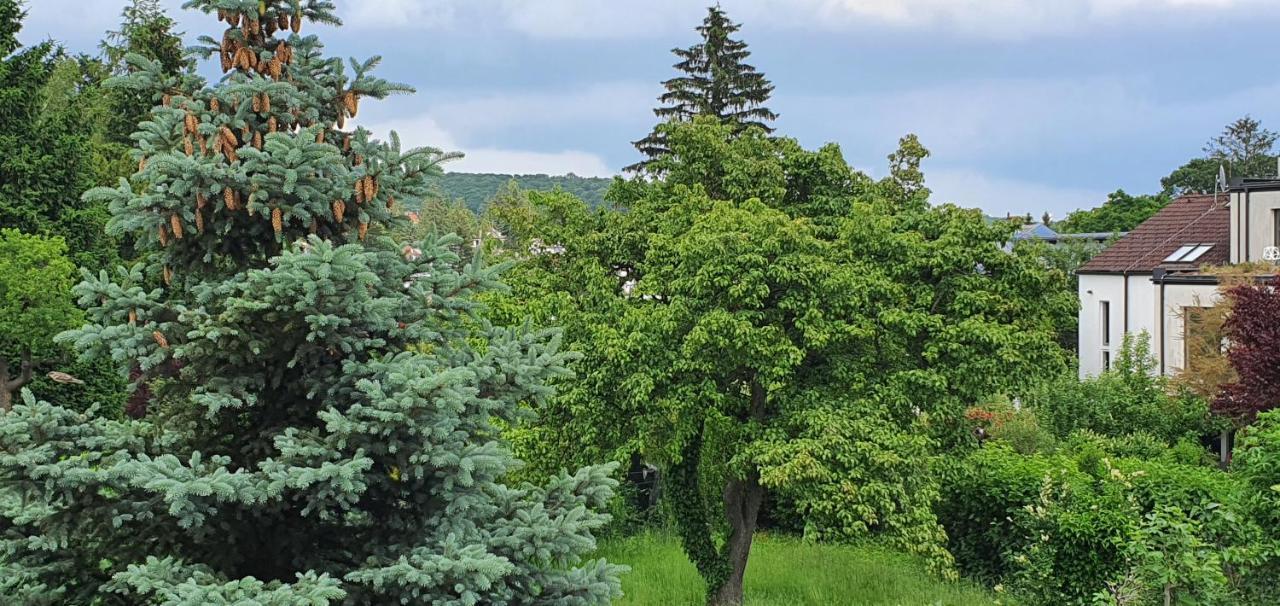 Erhol 'dich Am Berg Appartamento