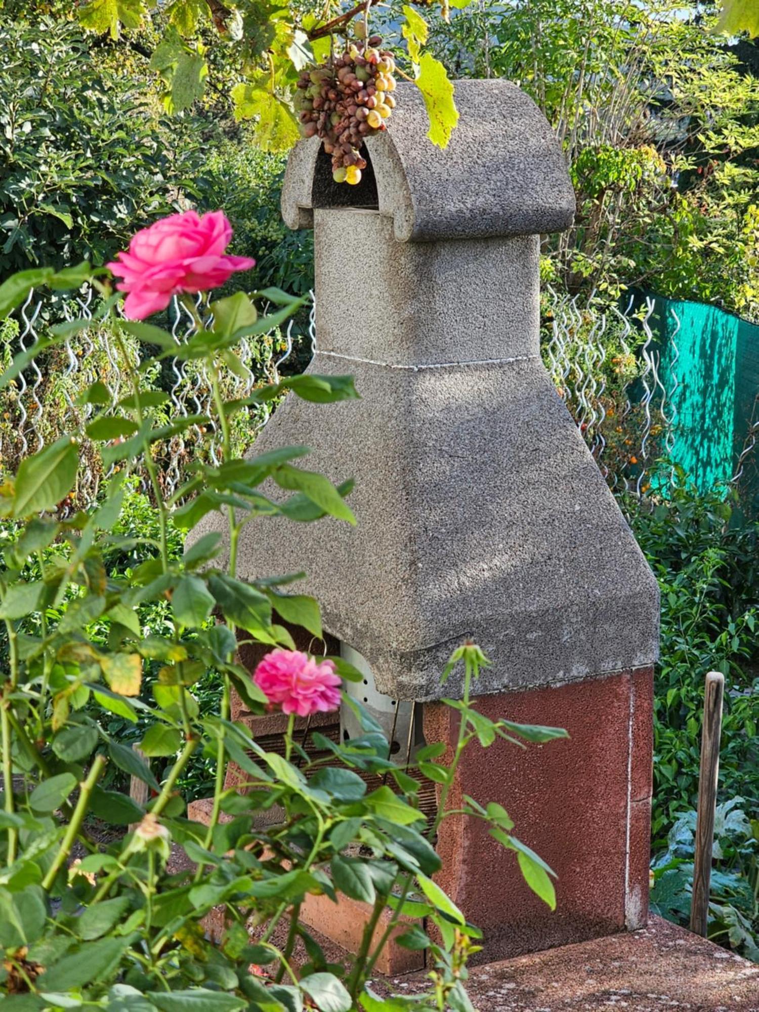 Erhol 'dich Am Berg Vienne
